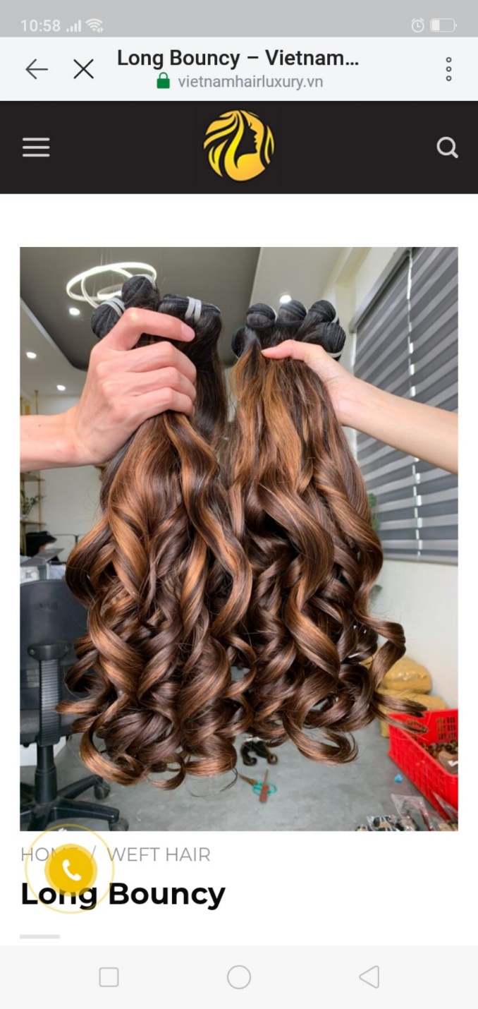 Long Bouncy Vietnamese best quality weft hair